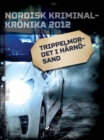 Trippelmordet i Harnosand - eBook