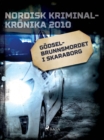 Godselbrunnsmordet i Skaraborg - eBook
