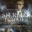 Berylova korunka - eAudiobook