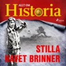 Stilla havet brinner - eAudiobook