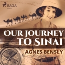 Our Journey to Sinai - eAudiobook