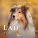 Lad: A Dog - eAudiobook