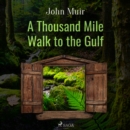 A Thousand Mile Walk to the Gulf - eAudiobook