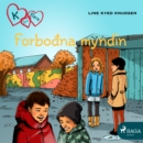 K fyrir Klara 15 - Forboðna myndin - eAudiobook