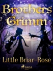 Little Briar-Rose - eBook