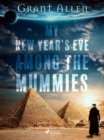 My New Year's Eve Among the Mummies - eBook