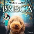 Brisca - eAudiobook