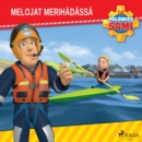 Palomies Sami - Melojat merihadassa - eAudiobook