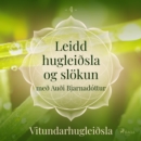 Leidd hugleiðsla og slokun - Vitundarhugleiðsla - eAudiobook