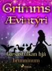 Gaesastulkan hja brunninum - eBook