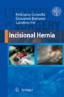 Incisional Hernia - eBook