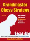 Grandmaster Chess Strategy : What Amateurs Can Learn from Ulf Andersson's Positional Masterpieces - eBook