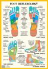 Foot Reflexology -- A2 - Book