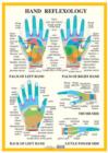 Hand Reflexology -- A2 - Book