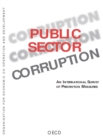 Public Sector Corruption An International Survey of Prevention Measures - eBook
