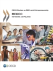 OECD Studies on SMEs and Entrepreneurship Mexico: Key Issues and Policies - eBook