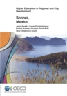 Higher Education in Regional and City Development: Sonora, Mexico 2013 - eBook