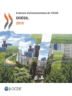 Examens environnementaux de l'OCDE : Bresil 2015 - eBook