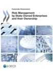 Corporate Governance Risk Management by State-Owned Enterprises and their Ownership - eBook