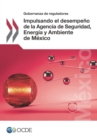 Gobernanza de reguladores Impulsando el desempeno de la Agencia de Seguridad, Energia y Ambiente de Mexico - eBook
