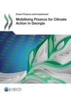 Green Finance and Investment Mobilising Finance for Climate Action in Georgia - eBook