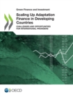 Green Finance and Investment Scaling Up Adaptation Finance in Developing Countries Challenges and Opportunities for International Providers - eBook