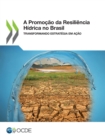 A Promocao da Resiliencia Hidrica no Brasil Transformando estrategia em acao - eBook
