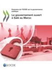 Examens de l'OCDE sur la gouvernance publique Le gouvernement ouvert a Sale au Maroc - eBook