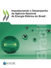 Impulsionando o Desempenho da Agencia Nacional de Energia Eletrica do Brasil - eBook