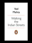 Walking the Indian Streets - eBook