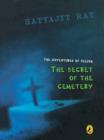The Secret of The Cemetery - eBook