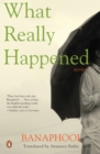 What Really Happened : Stories - eBook