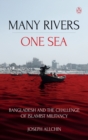Many Rivers, One Sea : Bangladesh and the Challenge of Islamist Militancy - eBook