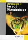 Encyclopaedia Of Insect Morphology - eBook