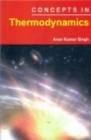 Concepts In Thermodynamics - eBook