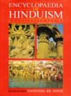 Encyclopaedia of Hinduism - eBook