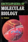 Encyclopaedia of Molecular Biology - eBook
