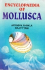 Encyclopaedia of Mollusca (Evolutionary Molluscs) - eBook