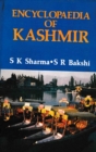 Encyclopaedia of Kashmir (Ancient and Medieval Kashmir) - eBook