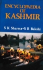 Encyclopaedia of Kashmir (Kashmir and the United Nations) - eBook