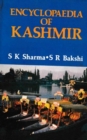 Encyclopaedia of Kashmir (Kashmir Society and Culture) - eBook