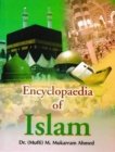 Encyclopaedia Of Islam (Crime And Punishment Under Islamic Law) - eBook