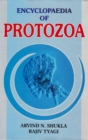 Encyclopaedia of Protozoa (Study Of Protozoa) - eBook