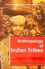 Anthropology of Indian Tribes - eBook