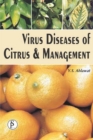 Virus Diseases Of Citrus And Management - eBook