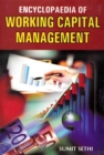 Encyclopaedia Of Working Capital Management - eBook