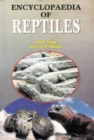 Encyclopaedia of Reptiles (Life of Reptiles) - eBook