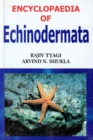 Encyclopaedia of Echinodermata (Comparative Anatomy Of Echinodermata) - eBook
