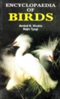Encyclopaedia of Birds - eBook