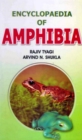 Encyclopaedia of Amphibia (Regeneration in Amphibia) - eBook